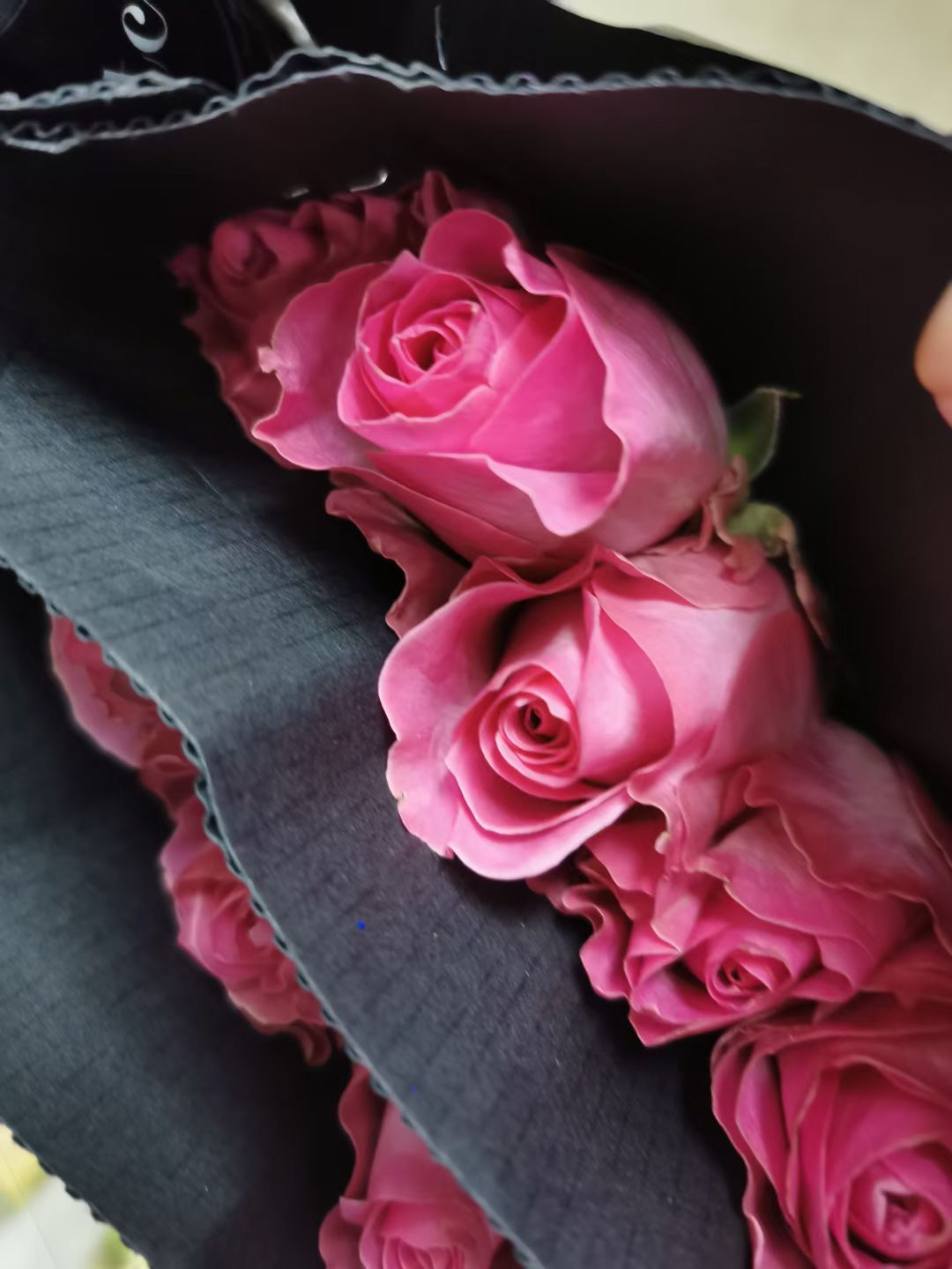 玫瑰切花  卡罗拉，鲜切花云南基地直发鲜花玫瑰