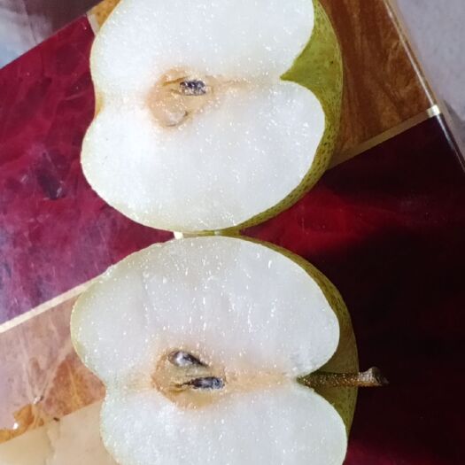 翁源县水晶梨
