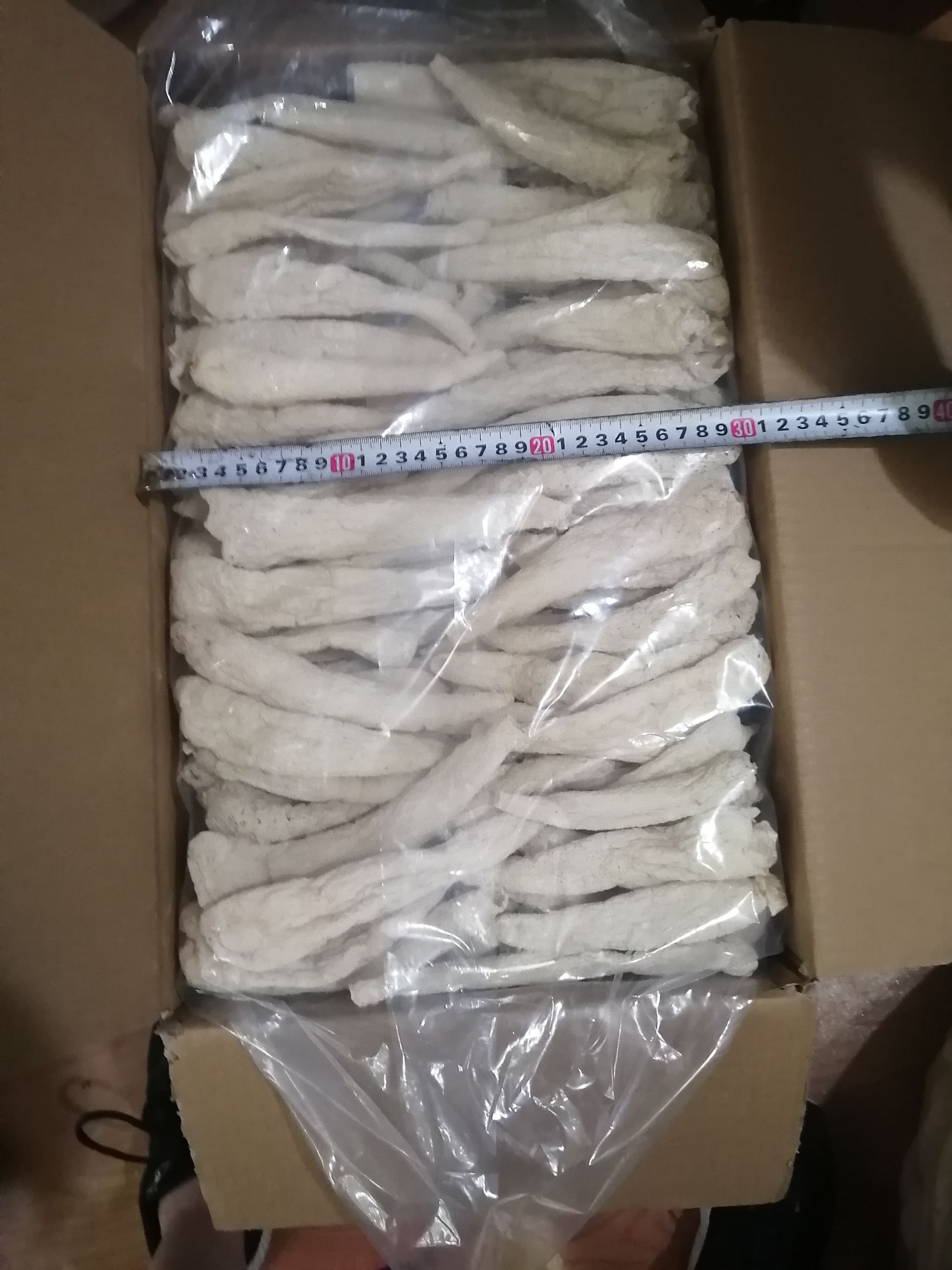 冬荪，大方冬荪，学名白鬼笔，又称竹下菌、竹菌、无裙荪，