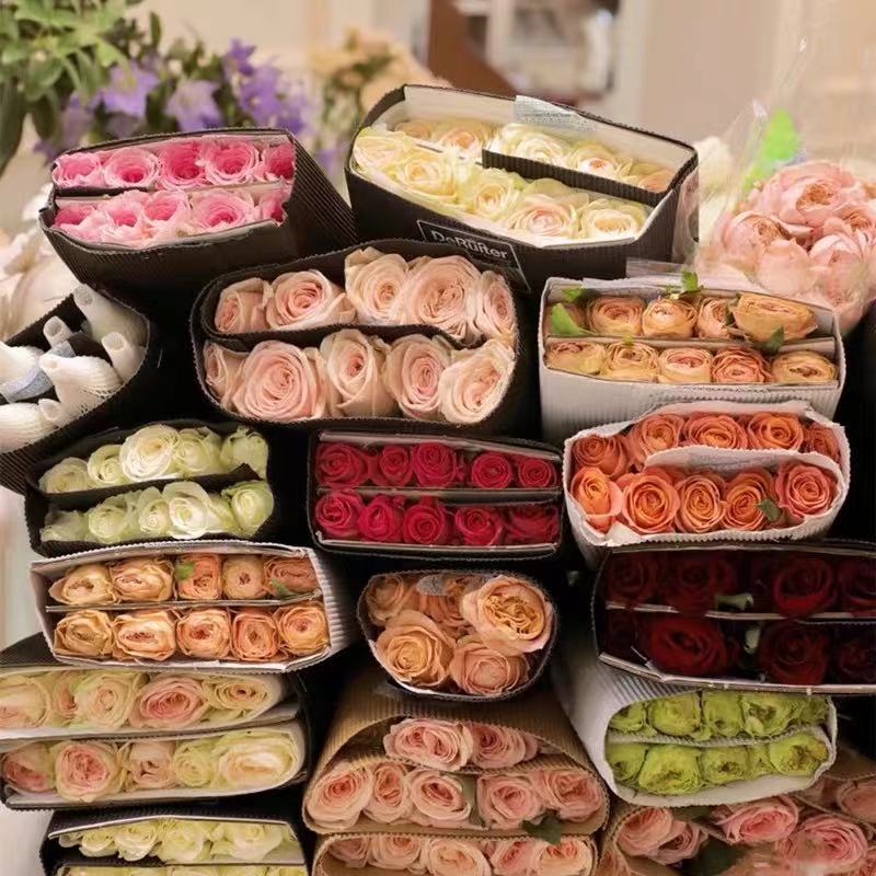 玫瑰切花  卡罗拉，鲜切花云南基地直发鲜花玫瑰