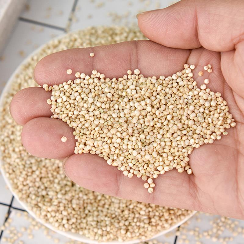 白藜麦155+3234+4117