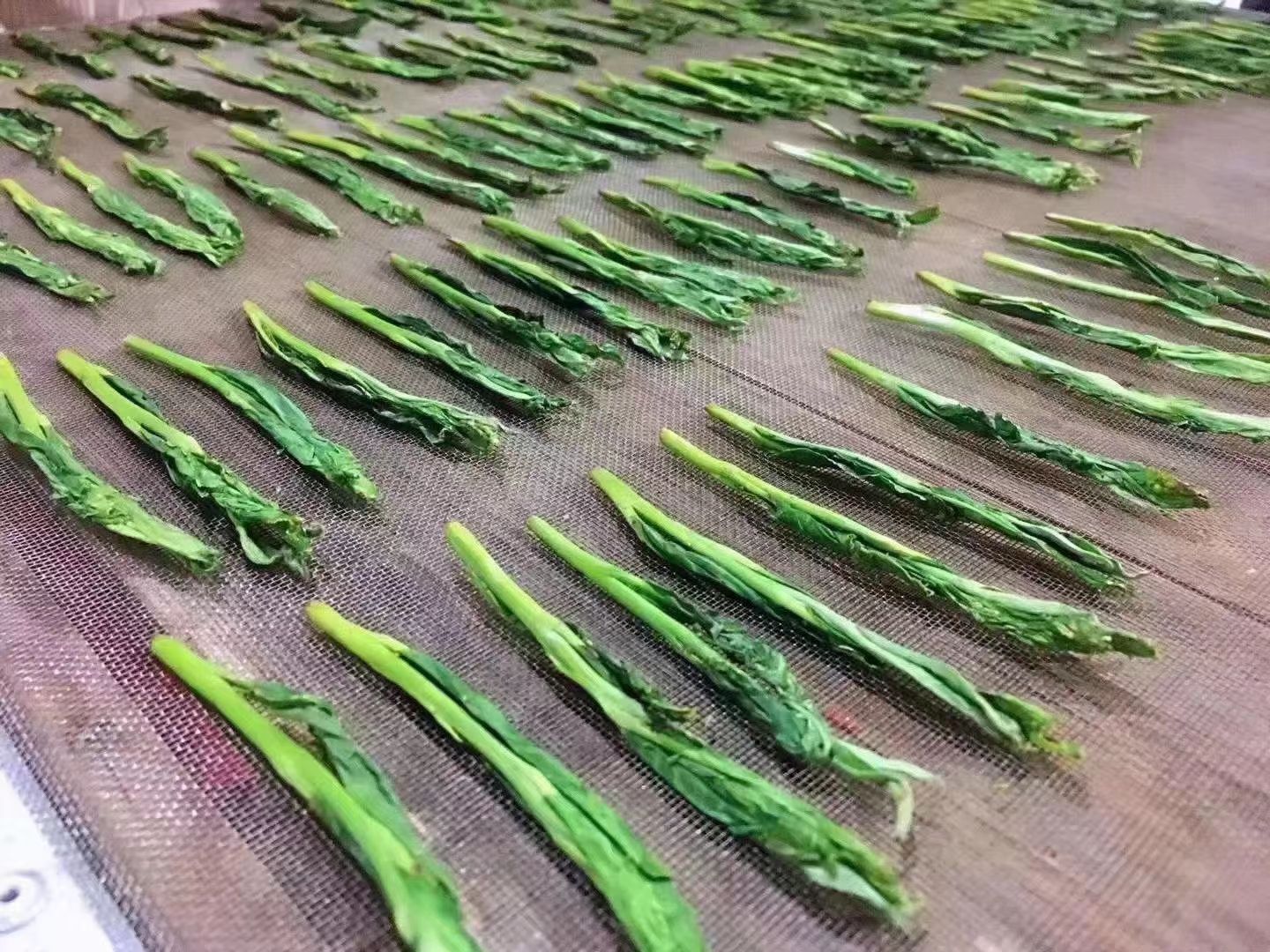  太平猴魁，自产自销一手货源品质保证