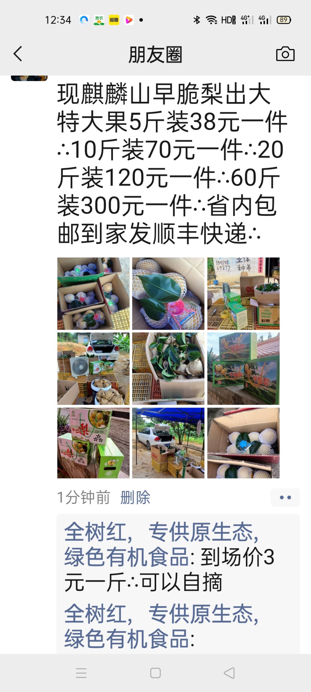 蜜梨 广东省肇庆市封开县 