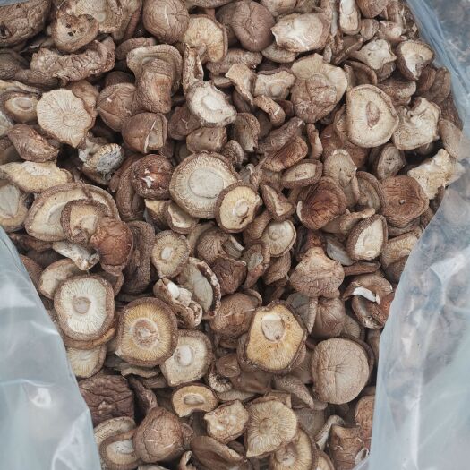 西宁香菇808 干香菇