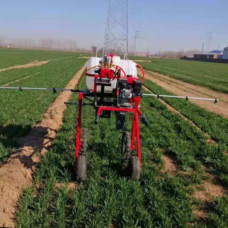 手推自走式打药机 棉花小麦玉米大豆大葱打药机喷药机