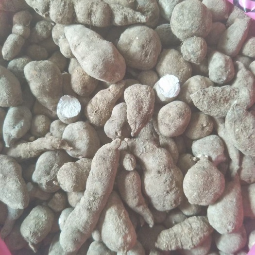 三叶青干货，肉白，很光滑有看上的老板请联系