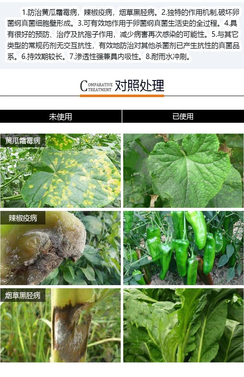 荣邦 70%烯酰霜脲氰烯酰吗啉番茄晚疫病黄瓜霜霉病专用杀菌剂