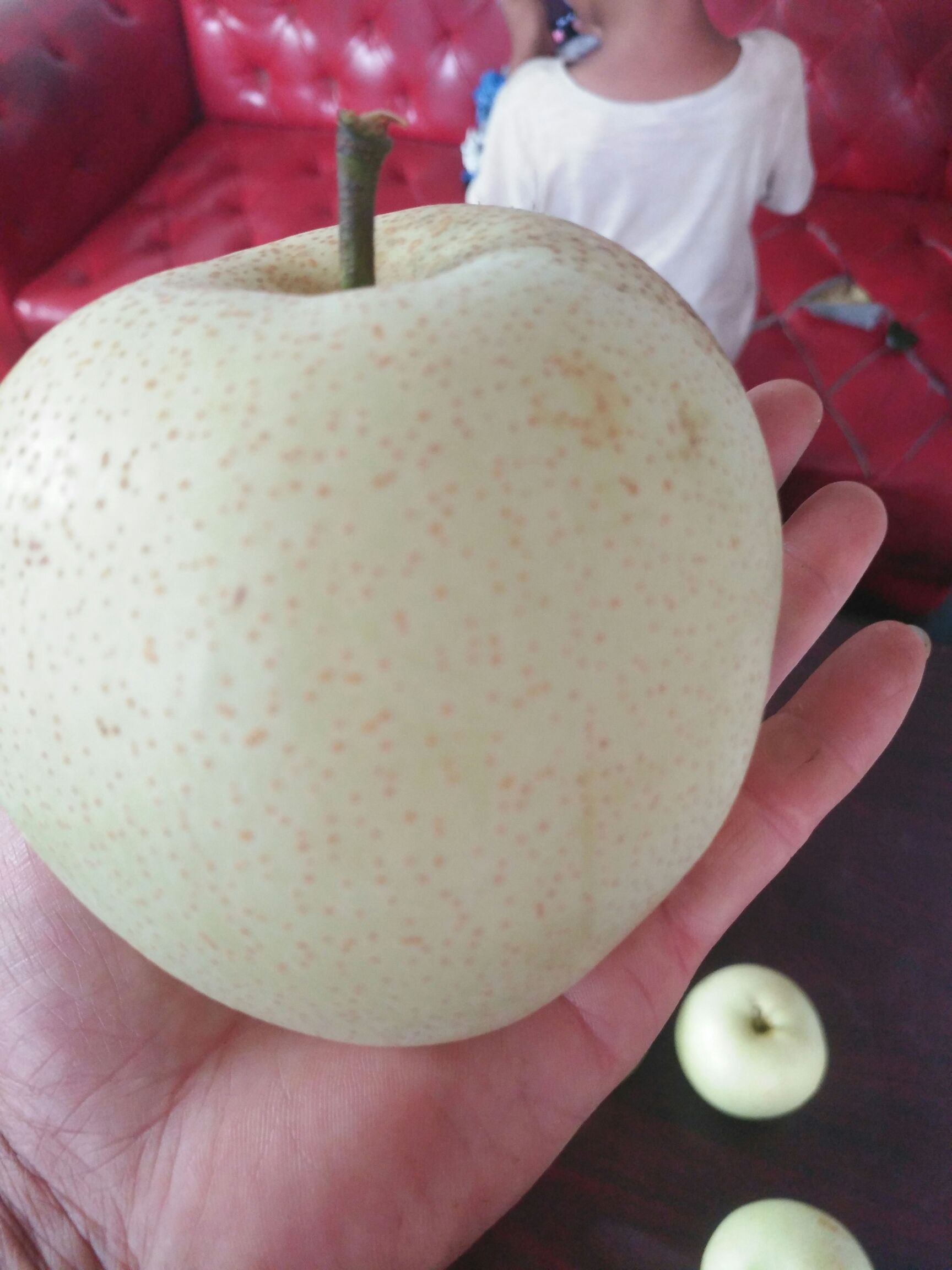 水晶梨 广东省连州市，晶宝梨