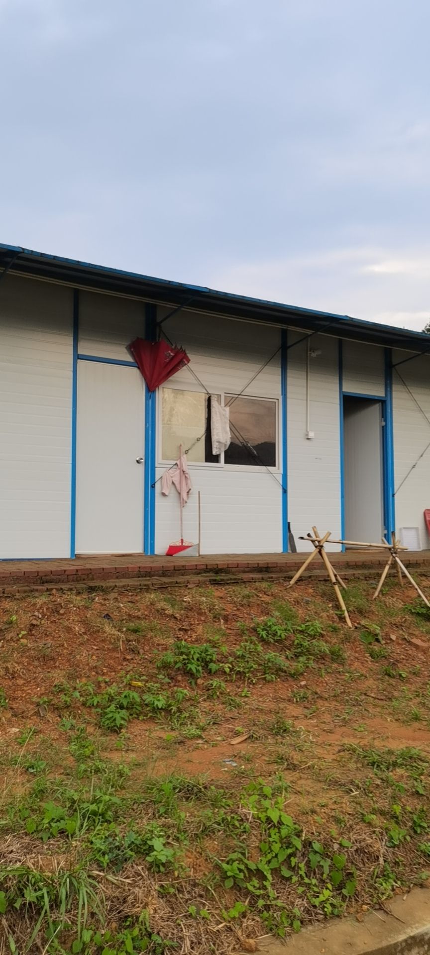 农场 食用菌种植基地