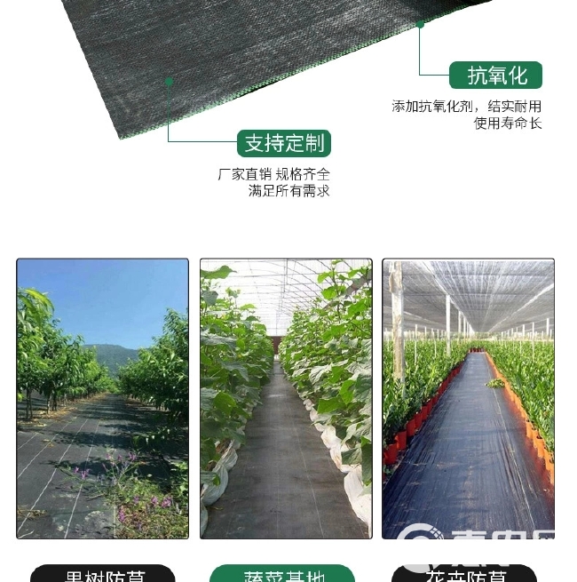  防草布除草布抗老化果园果树遮草盖草布防草布防草布农用园艺地布