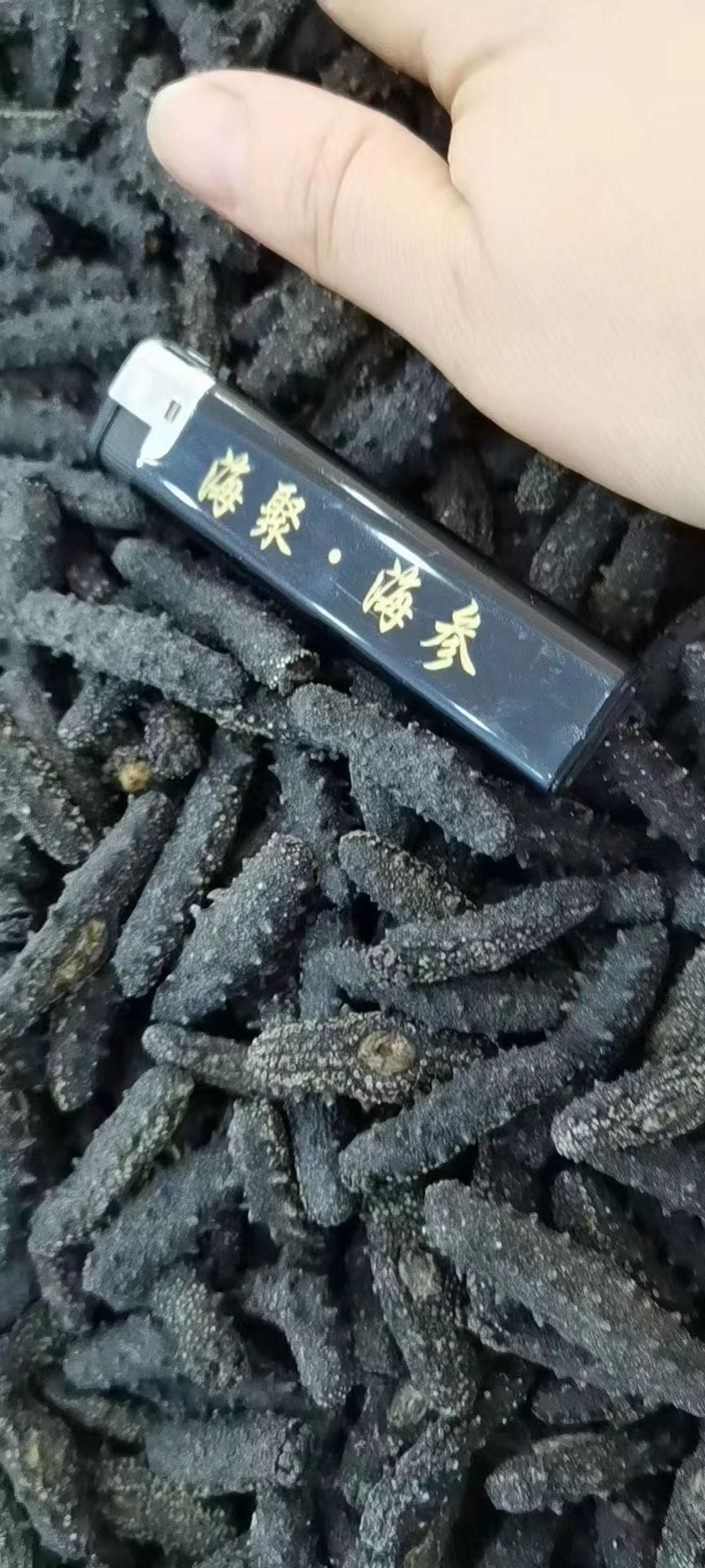 海参干 24个月以上 