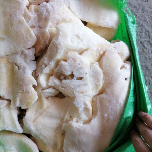 阳信县牛耳片 山东 无根牛耳片 厂家直销 一件起批 品质保证牛耳片