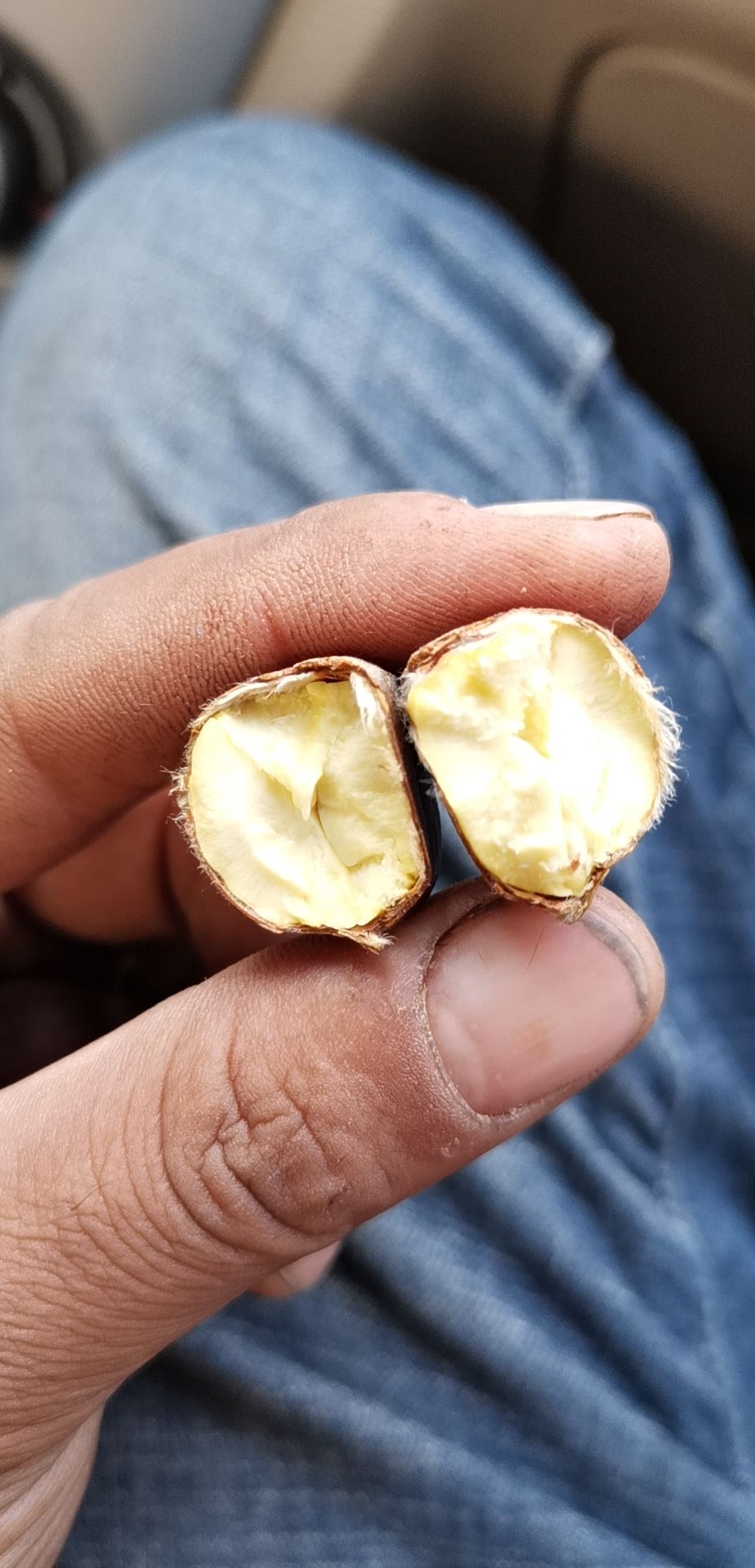 遵化板栗京东板栗迁西板栗