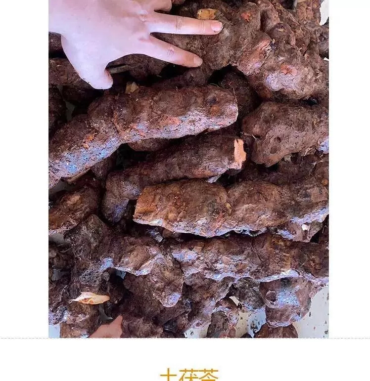 广东茂名电白区土茯苓中药材批发支持快递整车物流发货