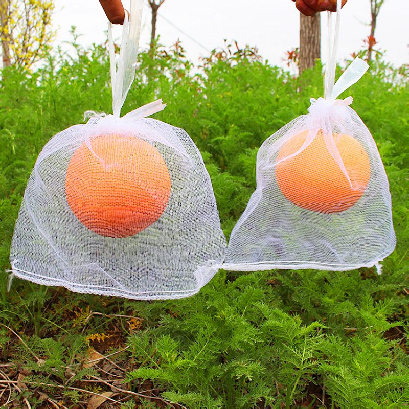  葡萄水果防虫防鸟纱网套袋枇杷果树网套防果蝇纱网袋