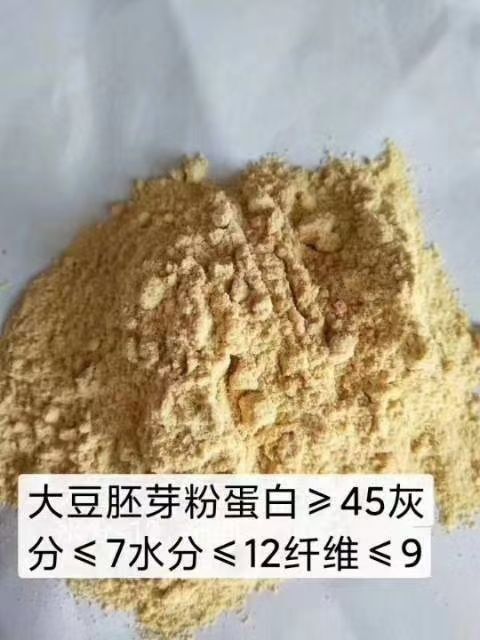 正定县大豆胚芽粉 