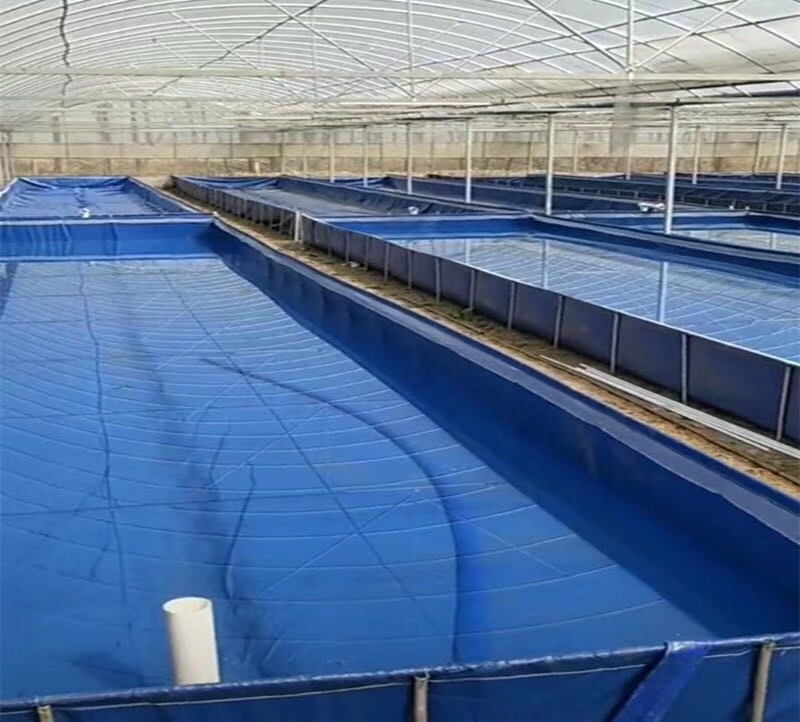 水产养殖箱 陆地巡洋舰养殖帆布池