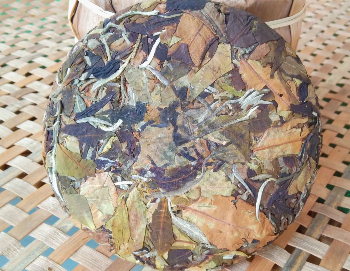  古树普洱月光白