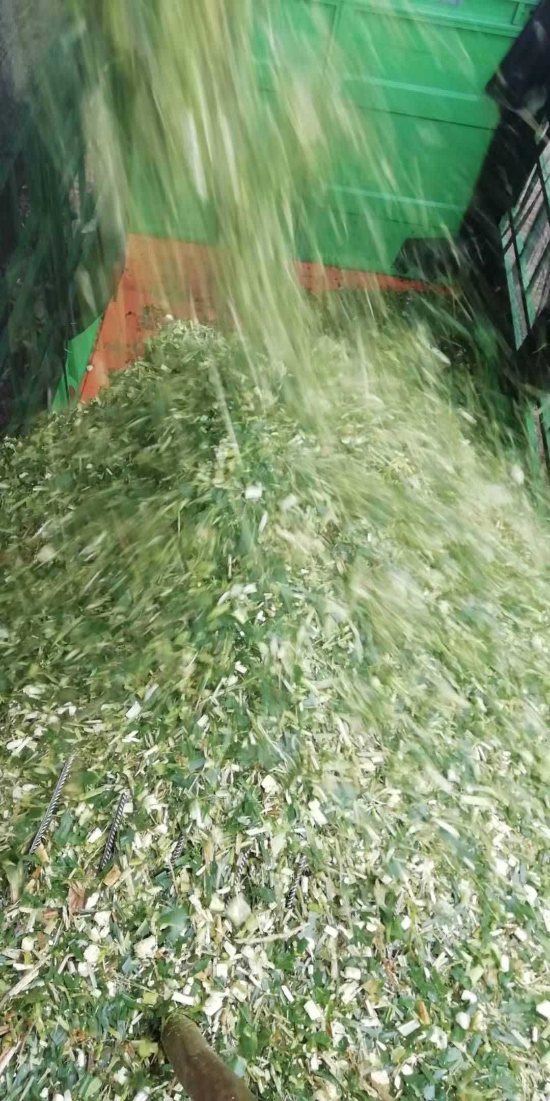  玉米秸秆，甘蔗尾梢，牧草，厂家产地直销。