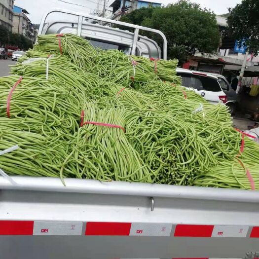 全州县长豇豆 长豆角大量供货