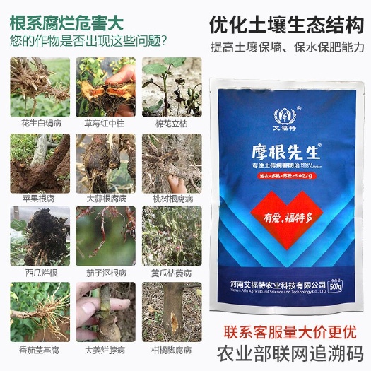 郑州摩根先生土传病害根腐病青枯立枯死棵烂苗微生物菌辣椒草莓