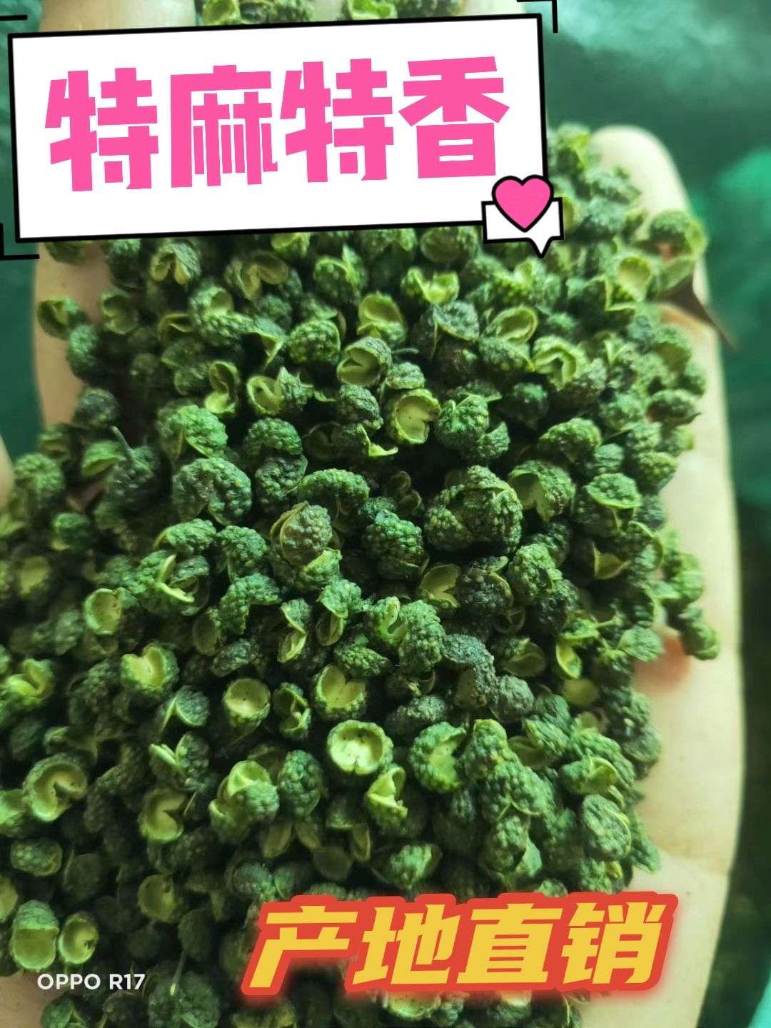 青花椒青麻椒，产地直销，50斤起发，不包邮……