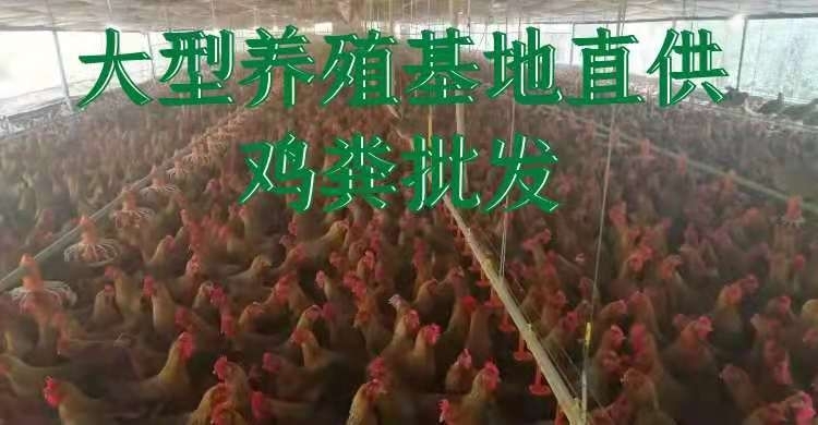 英德市鸡粪