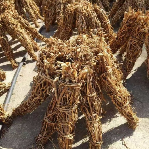 中扎吧扎把五指毛桃干货4两左右，日晒足干无硫干货。
