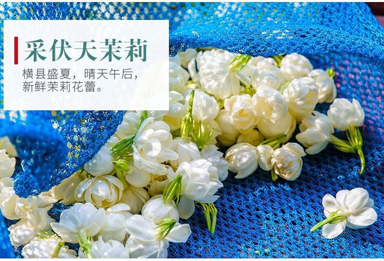 茉莉花茶 茶叶 2021新茶茉莉花茶叶茉莉花茶罐装500克