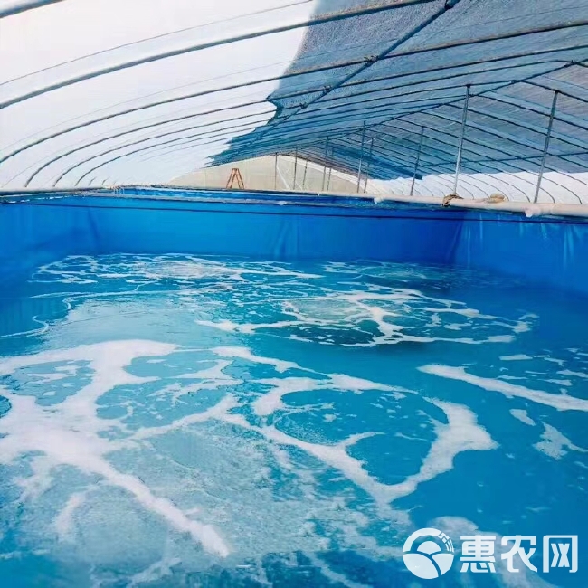 水产养殖箱 陆地巡洋舰养殖帆布池