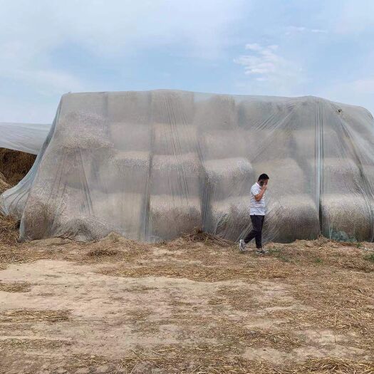 清丰县 小麦秸秆