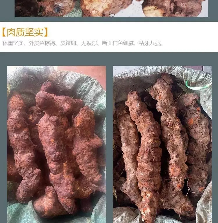 广东茂名电白区土茯苓中药材批发支持快递整车物流发货