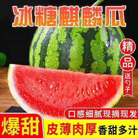 枝江市美都西瓜  西瓜8424.美都黑皮无籽西瓜，产地农民果园直销批发