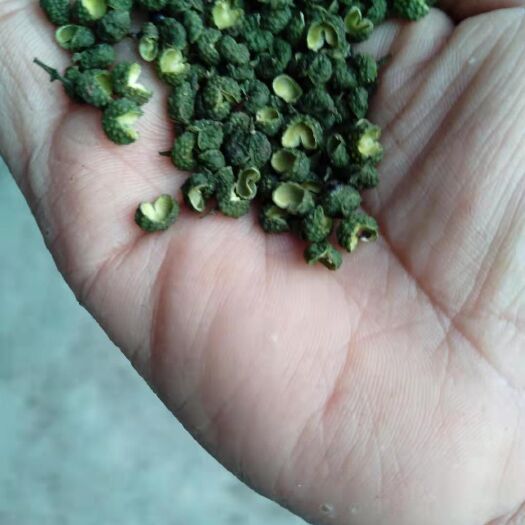 重庆市 重庆江津精品九叶青花椒出售下，自家种植