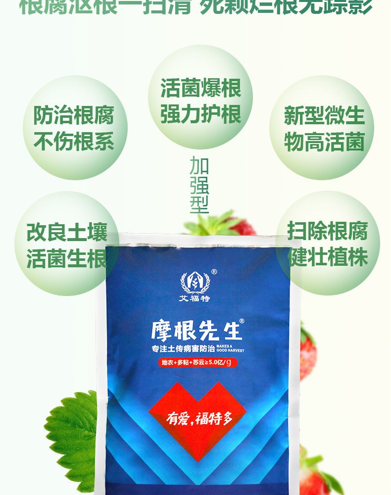 摩根先生土传病害根腐病青枯立枯死棵烂苗微生物菌辣椒草莓