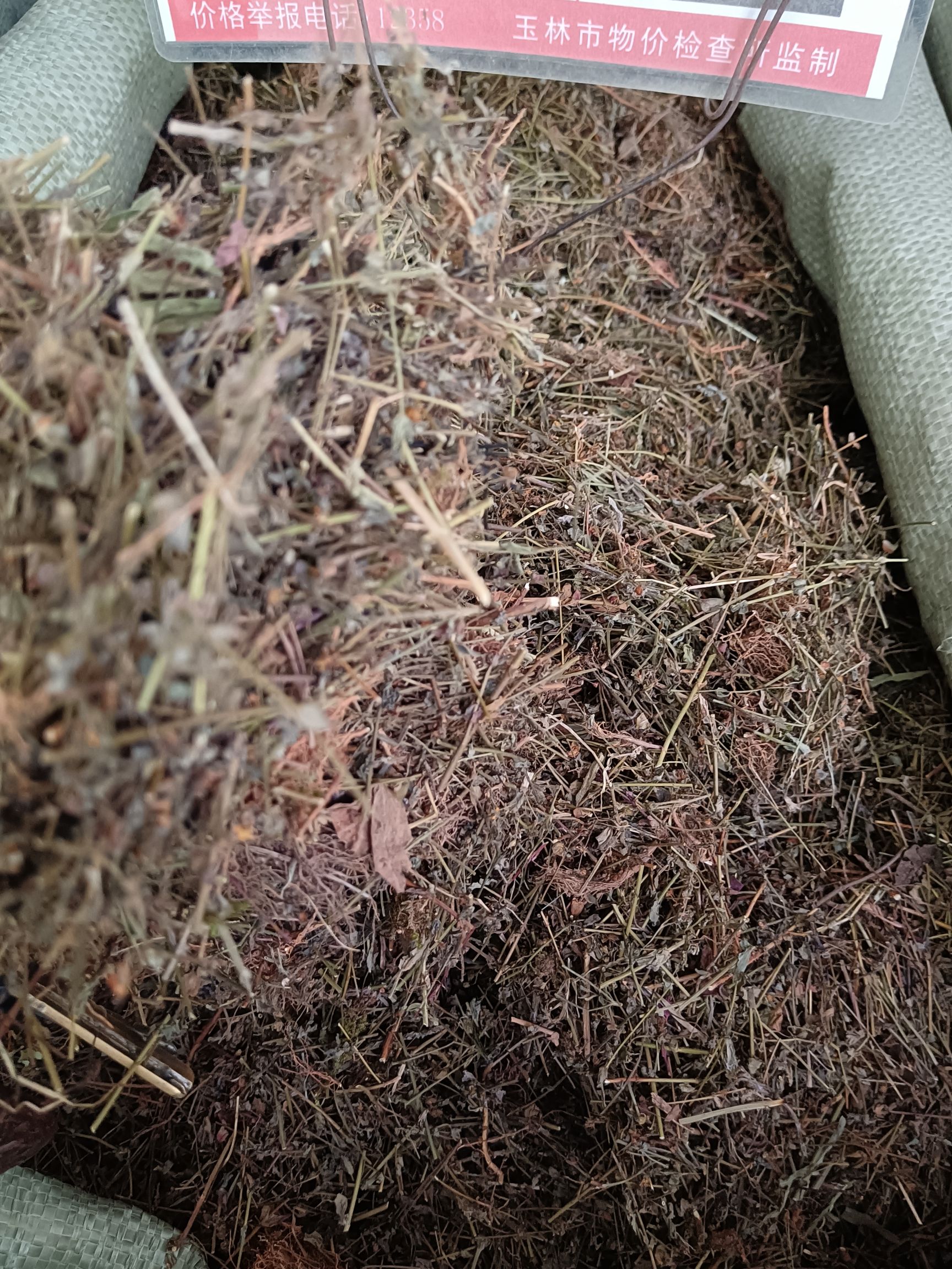 地耳草别名田基黄田基王黄花草黄花仔七寸金细叶黄中草药