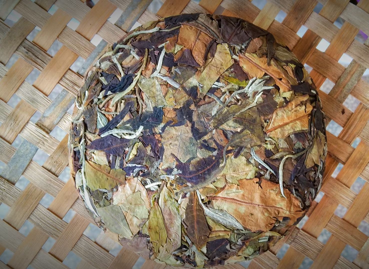  古树普洱月光白