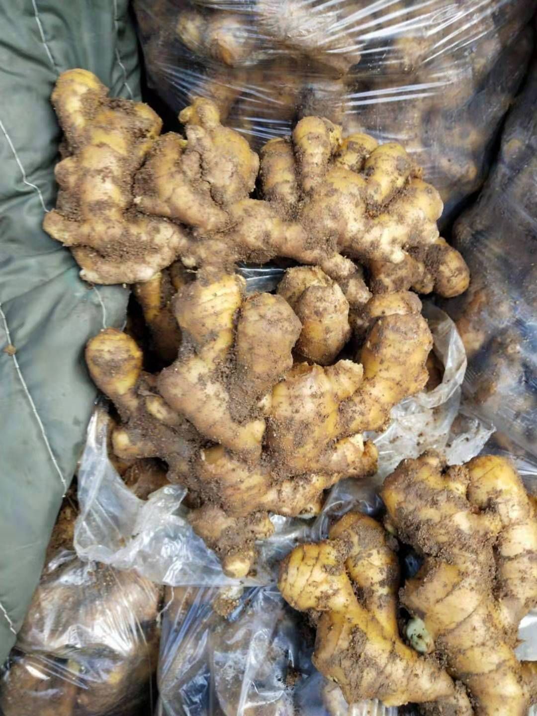 山东优质生姜产地批发 常年供应  电商市场货齐全 全国物流