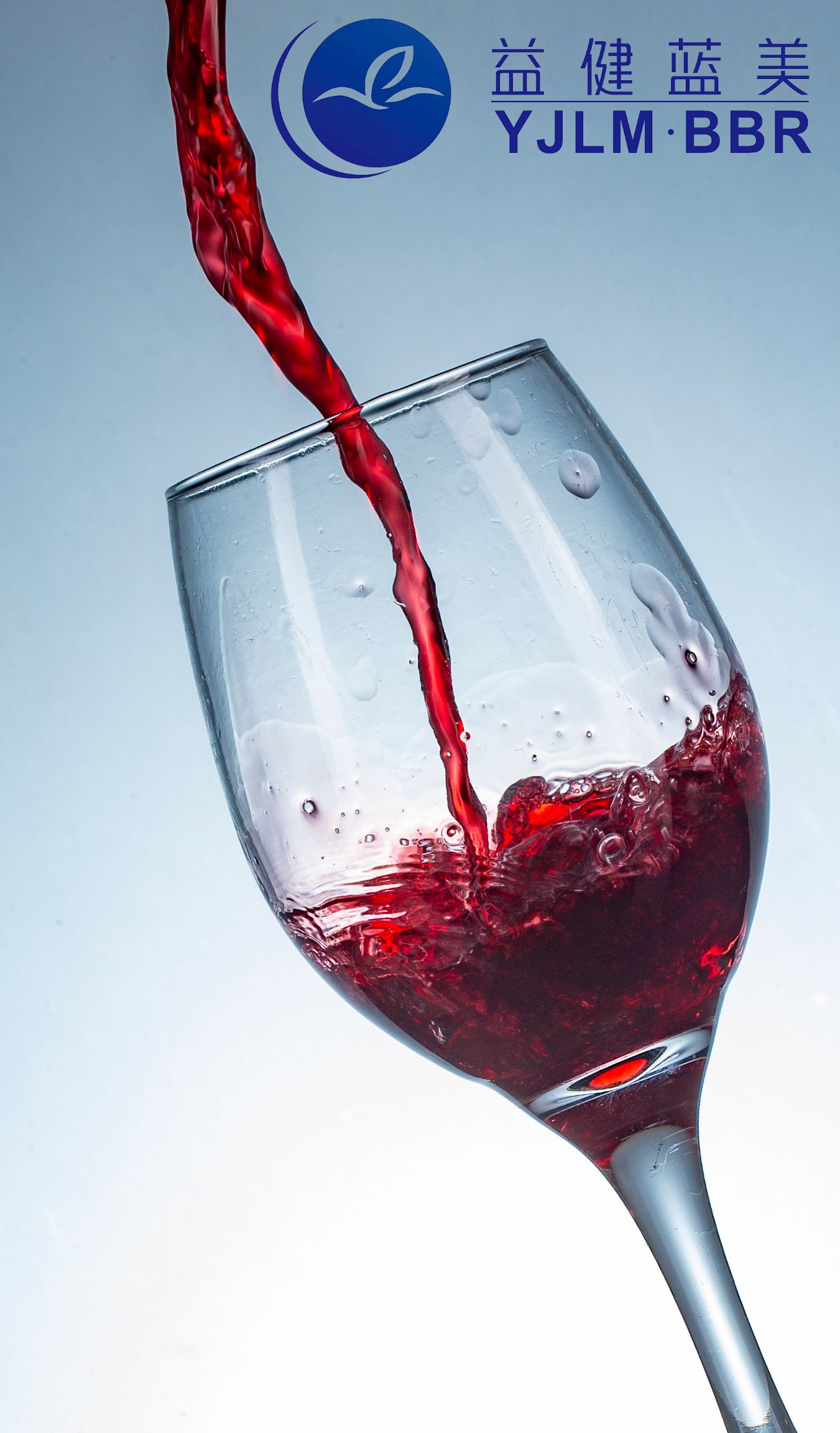 蓝莓酒  蓝莓原浆干红