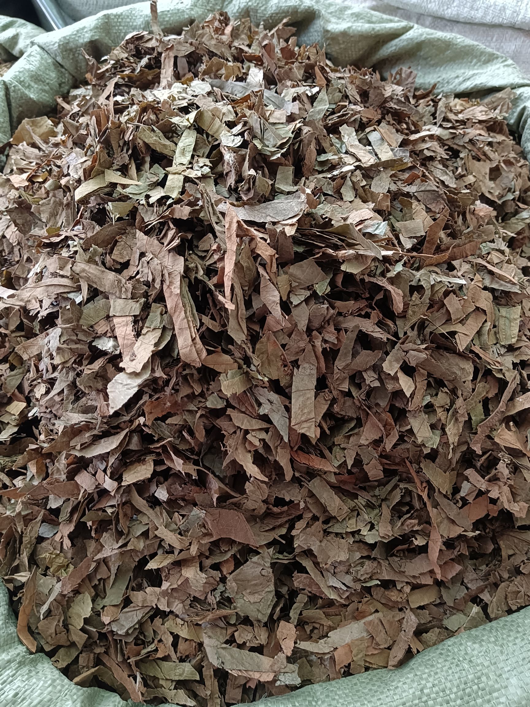 布渣叶.蓑衣子.破布叶.麻布叶可批量可零售量大从优