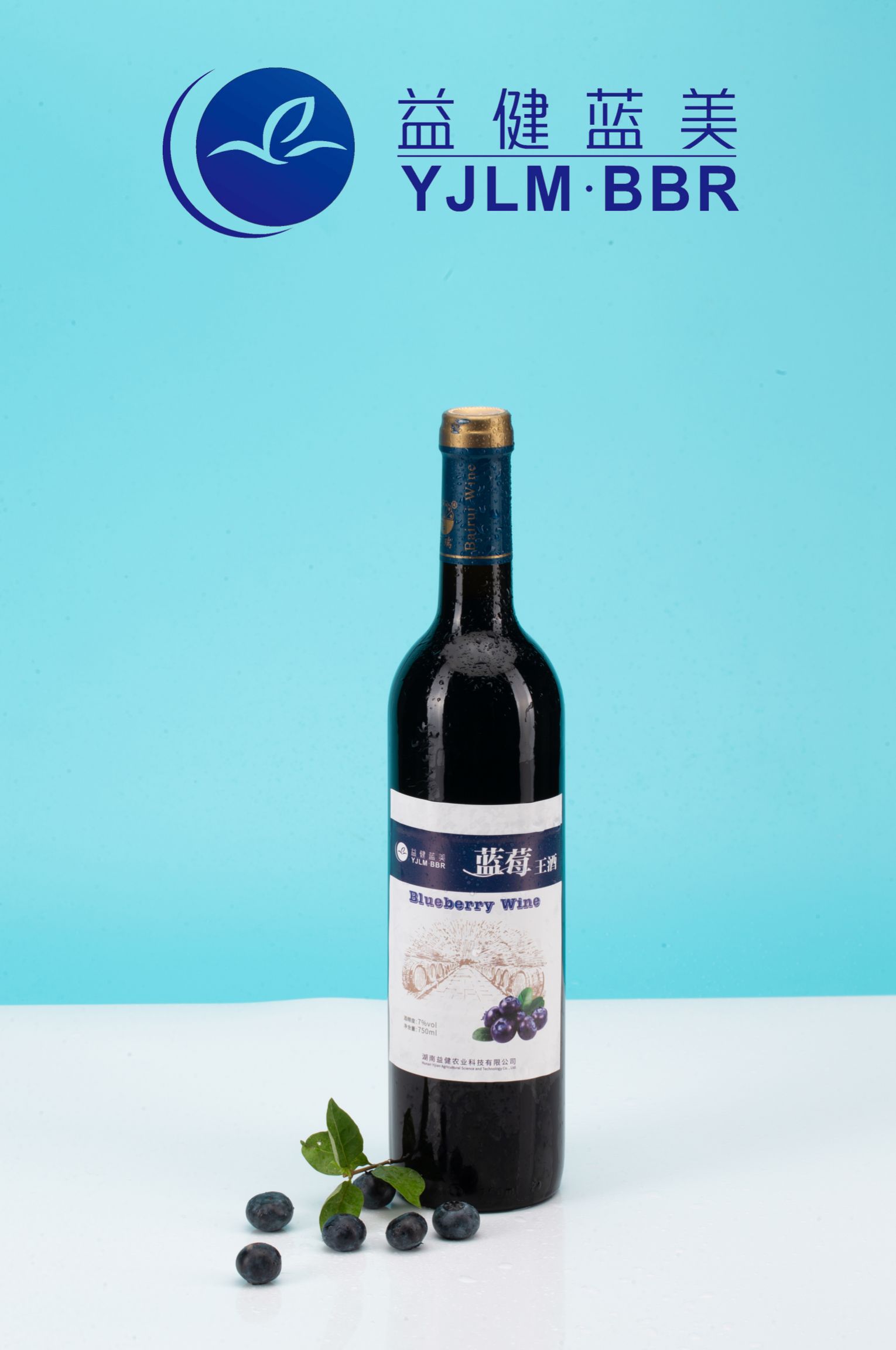 蓝莓酒  蓝莓王酒