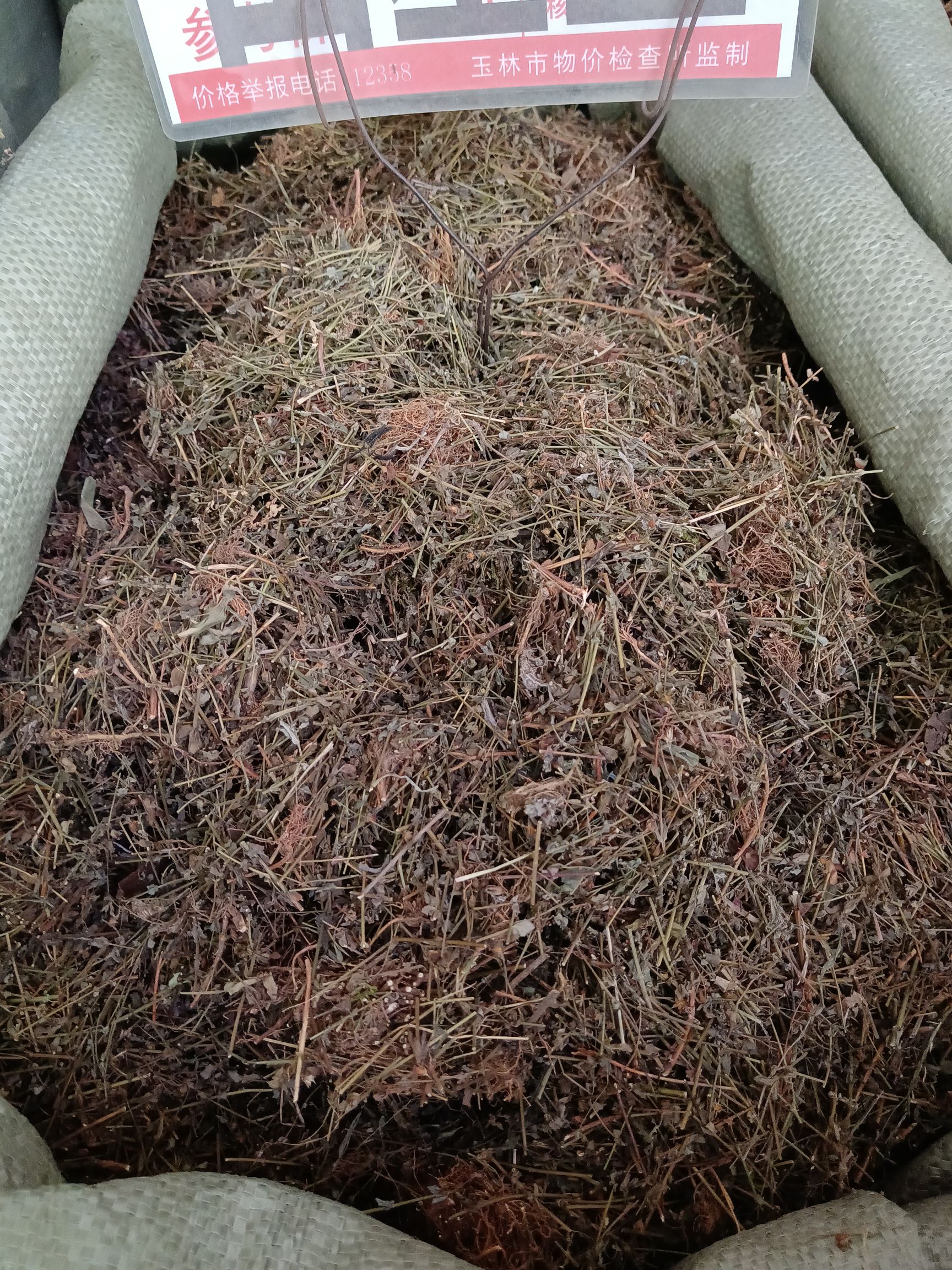 地耳草别名田基黄田基王黄花草黄花仔七寸金细叶黄中草药