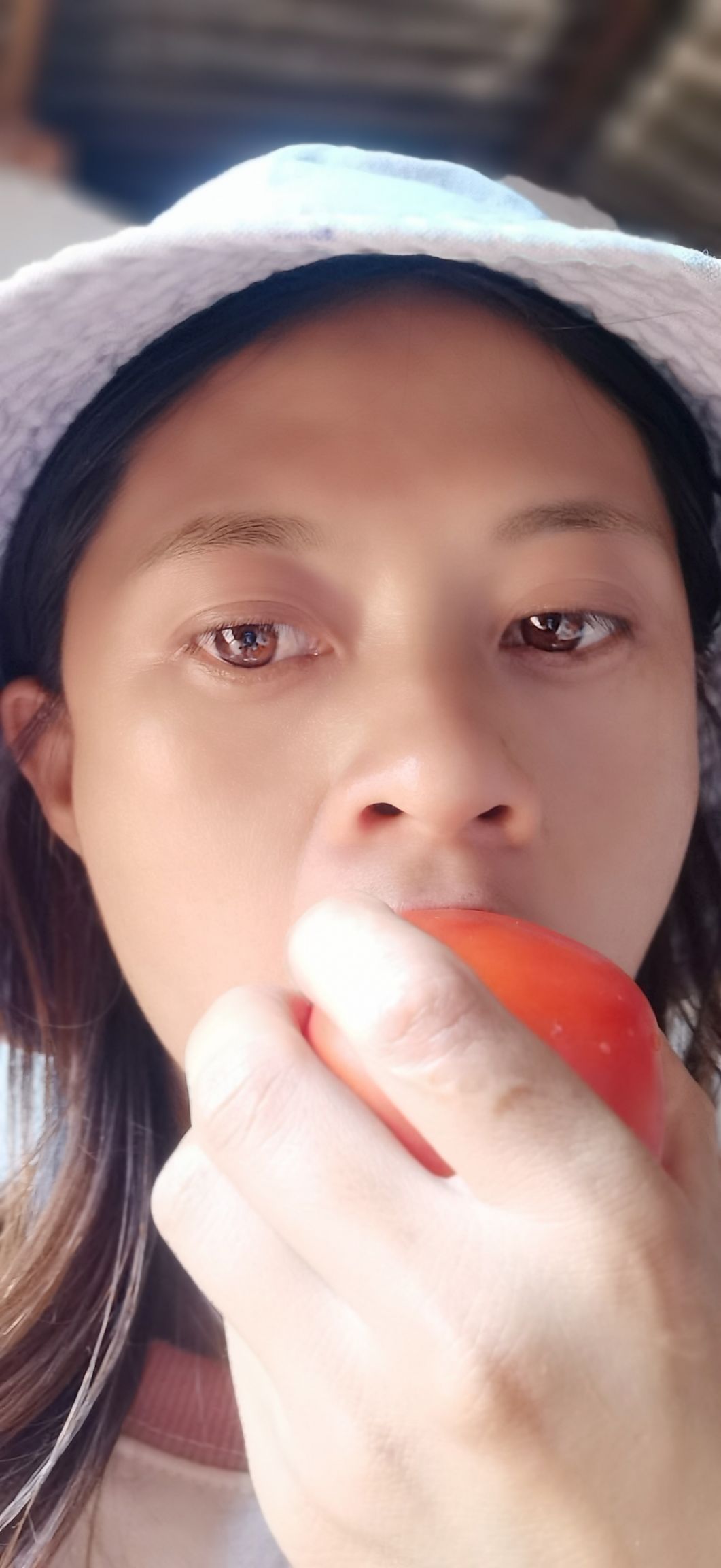 云南高原大红西红柿自然熟酸甜多汁