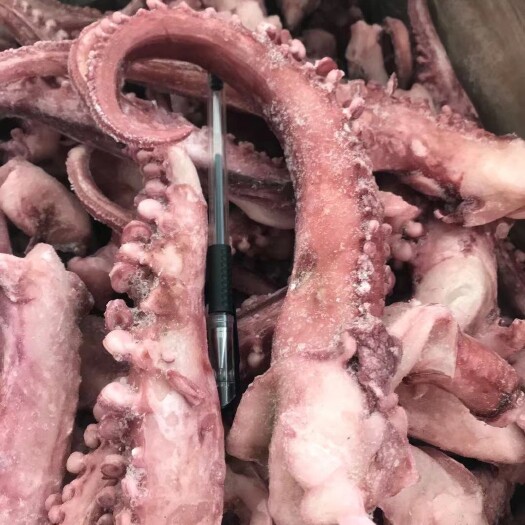 连云港新鲜无冰衣大个脆口章鱼足脆口鱿鱼须烧烤食材新鲜速冻