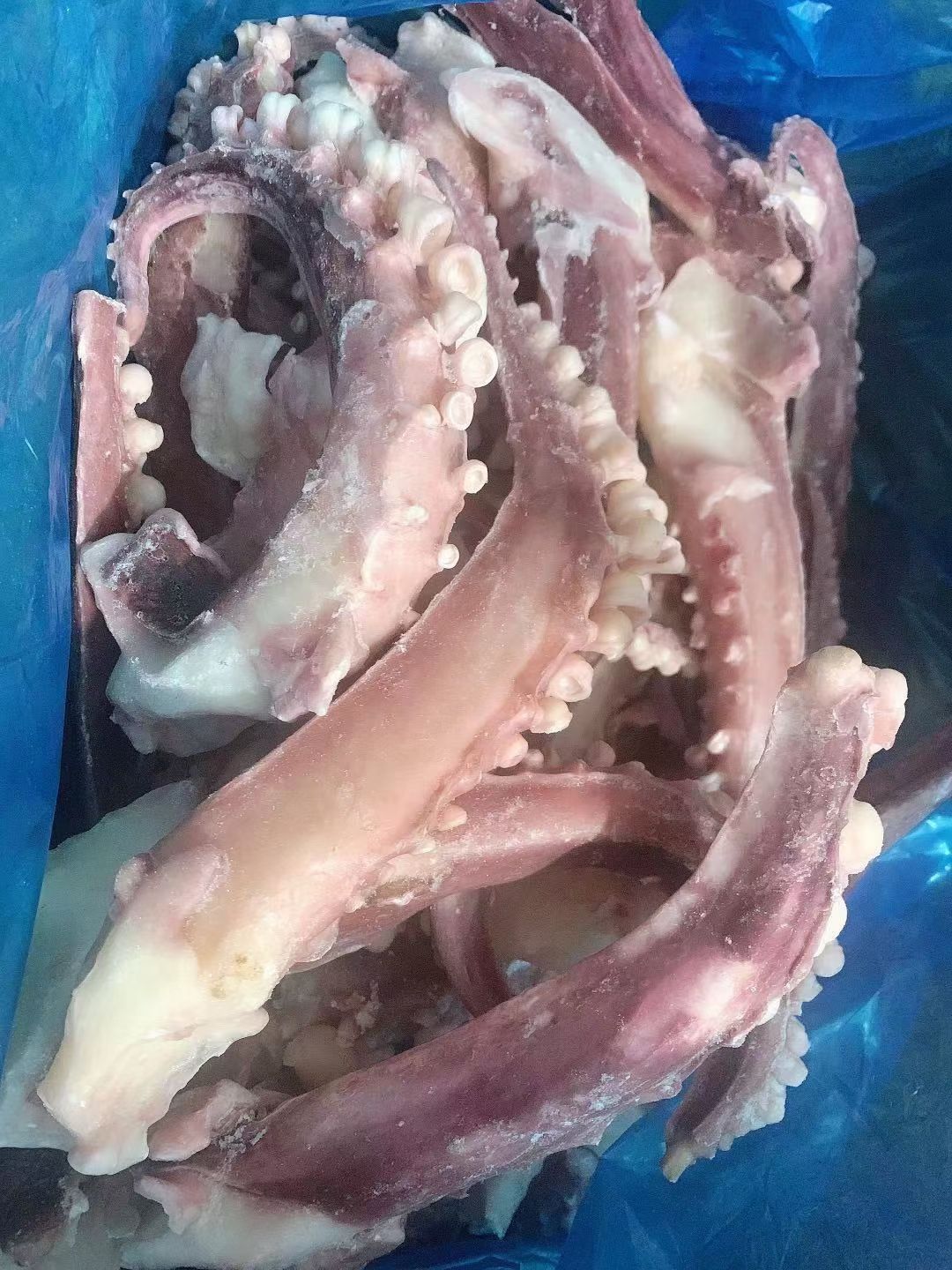 新鲜无冰衣大个脆口章鱼足脆口鱿鱼须烧烤食材新鲜速冻