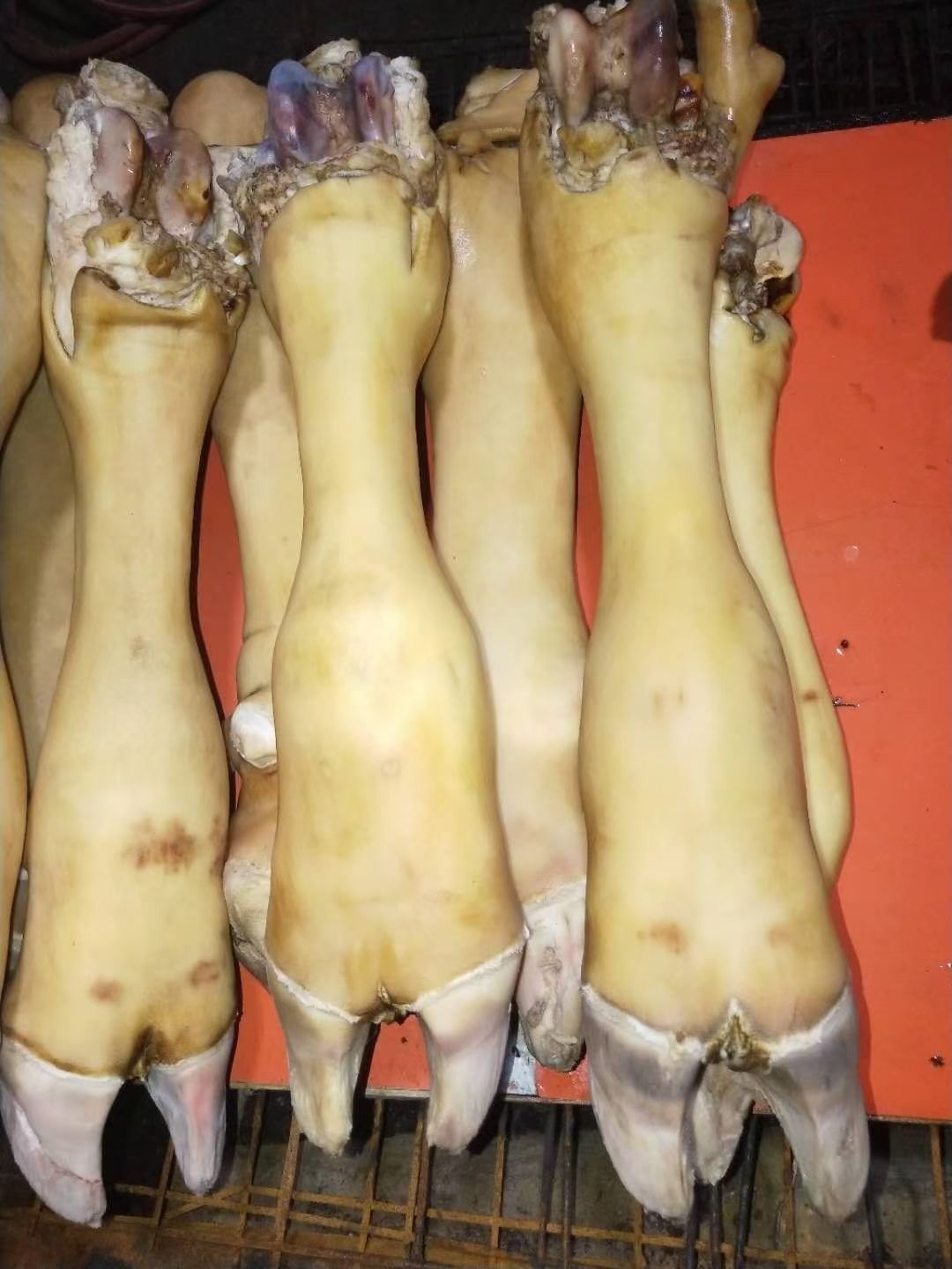 火烧毛大公牛牛蹄。可根据客户要求锯段。