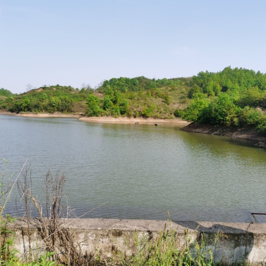 衡南县林地旱地荒山出租