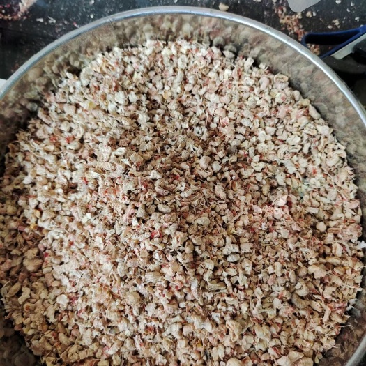 温县厂家直供玉米芯颗粒  年产三万吨  现货六千吨  每天发货