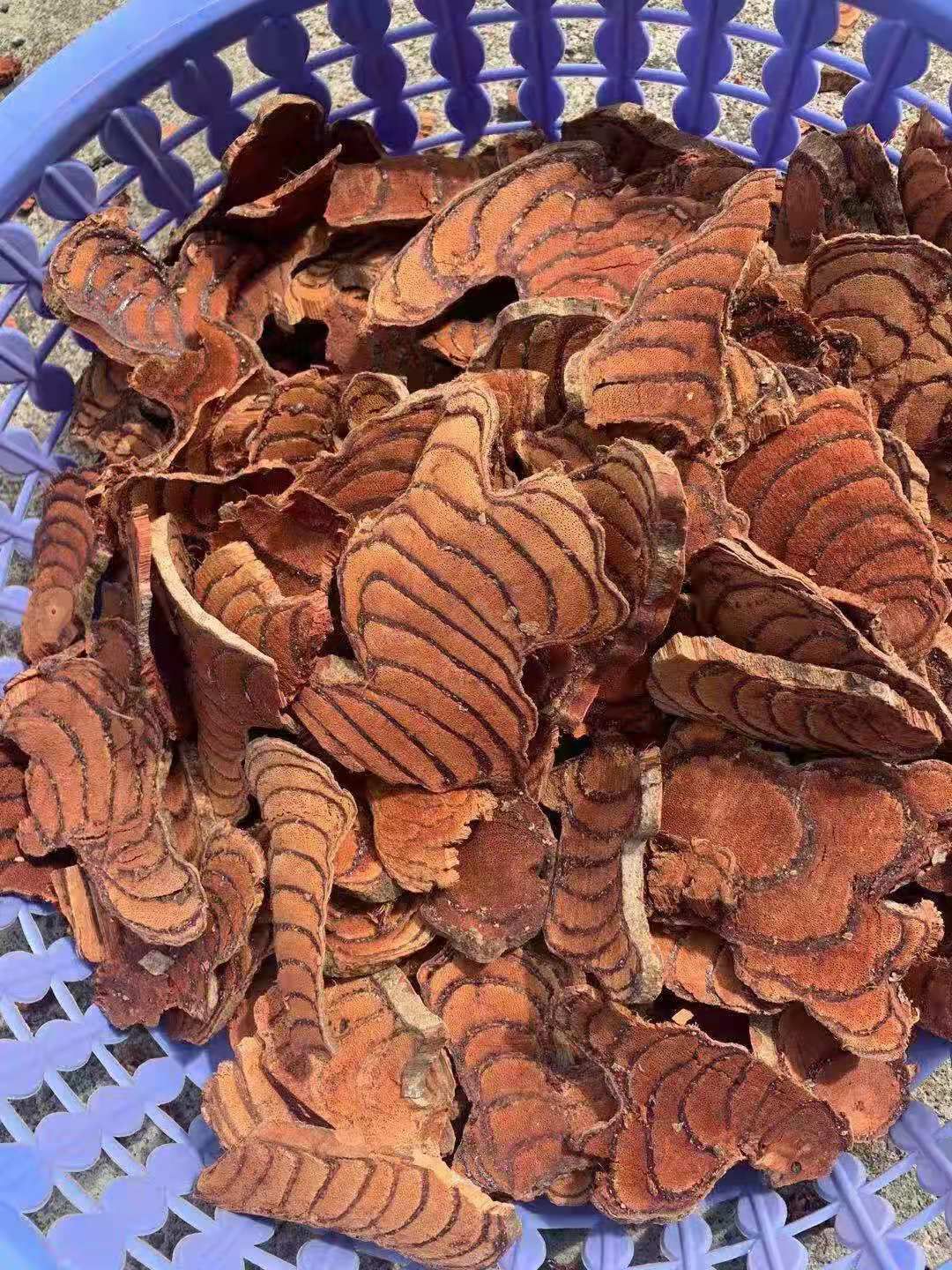 鸡血藤 产地直销鸡血腾一级，二级。