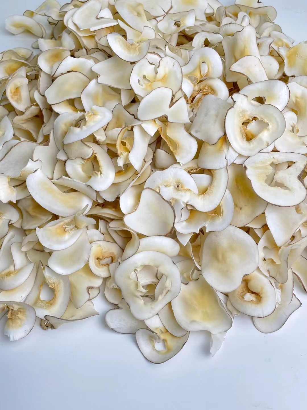 海底椰 椰子肉 海椰子片